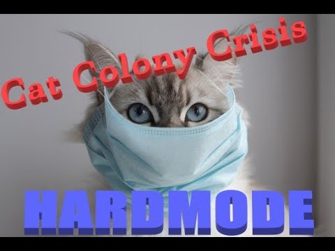 Pandemic Cats Cat Colony Crisis HARD MODE with more anti mask cats