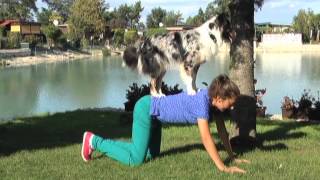 Dog Tricks by Enya Australian Shepherd by xoxSHISHIxox 70,915 views 11 years ago 3 minutes, 11 seconds