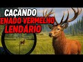 A caçada do lendário veado-Vermelho