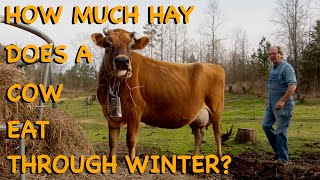 How Much Hay Does It Take to Feed Cattle?  FHC Q & A