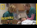 What S Moo With Ewe Full Episode The Incredible Dr Pol What S Moo With Ewe Full Episode The Incredible Dr Pol