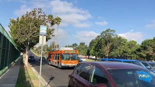 New Flyer C40LF 5371 On Line 126