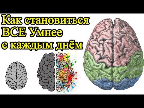 Как быть умным каждый день и стать творческим – Как сделать себя умным и стать креативным