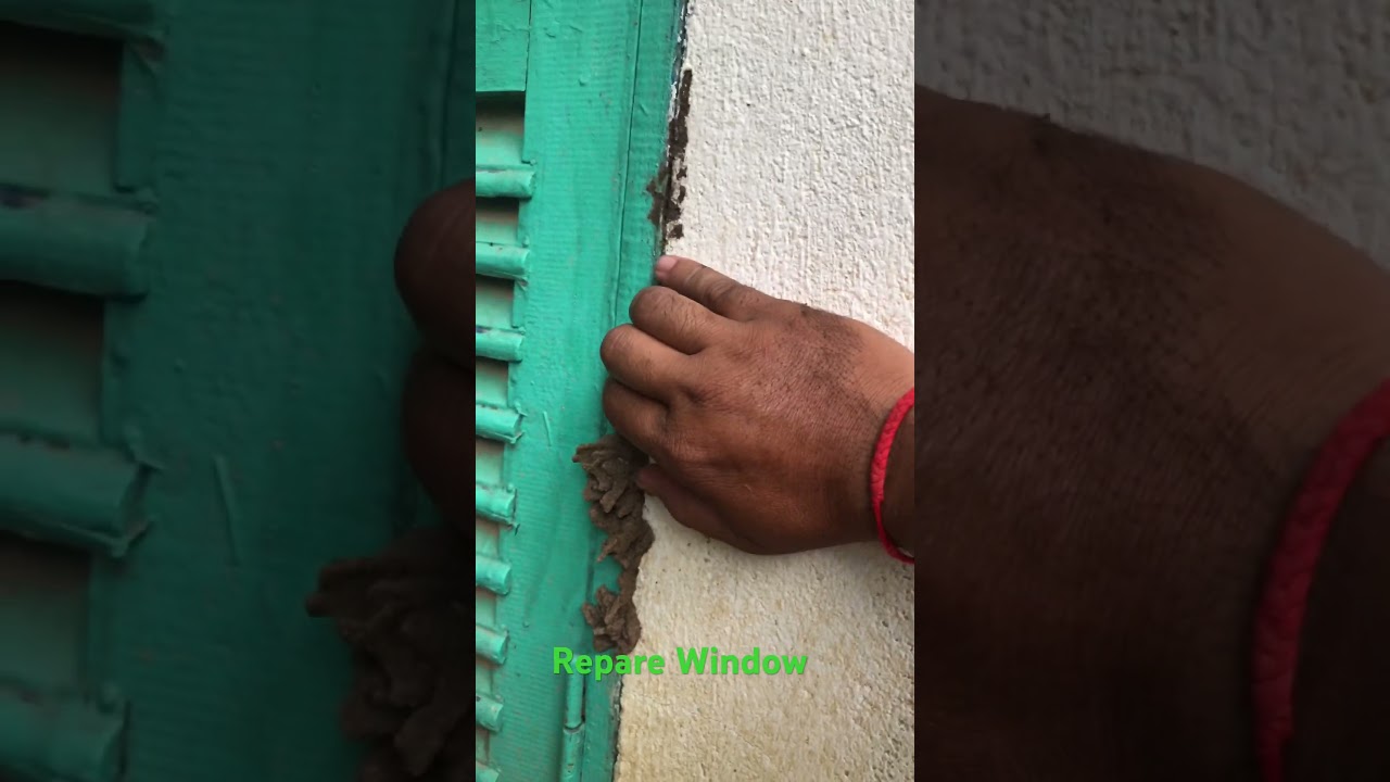 Repairs to windows 2023