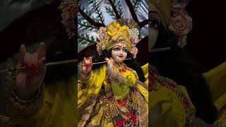 Radhe Radhe🥰❤️🙏 #radhakrishn #krishn #krishnworld #viralreel #radharani #viral #shorts #dwarkadhish