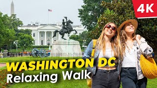 [4K] 🇺🇲 Exploring the Heart of Washington D.C. - A Vibrant Walking Adventure