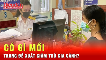Đề xuất cơ chế linh hoạt cho giảm trừ gia cảnh thuế thu nhập cá nhân có gì mới? | Tin tức 24h