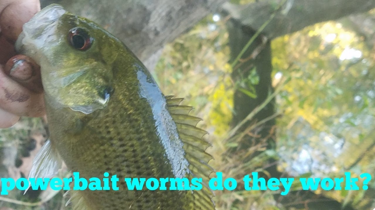 Artificial worm fishing!