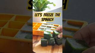 Let’s freeze the spinach #viral #trending #shorts #mealprep #frozenfood #kitchenhack