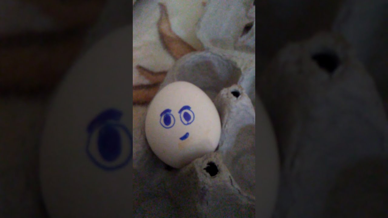 camera iphone 8 plus apk La history of the eggs