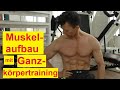 Mit HIT Ganzkörpertraining Muskeln aufbauen - nur 2x 30 Min/Woche - ECT - with english subtitles.