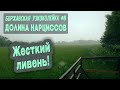 Боржавская узкоколейка #8. Долина Нарциссов