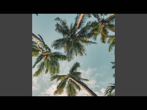 Highspeed OT4B Baby K