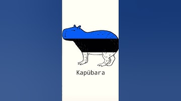 Thumbnail of #funny #capybara #song #memes #wt #america #germany #geek
