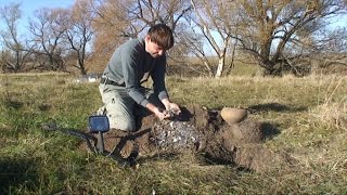 Клад серебряных монет найденный в Нижегородской области