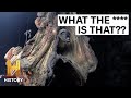 4 MYSTERIOUS CREATURES CAUGHT ON CAMERA | The Proof is Out There