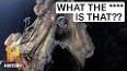 The Intriguing World of Cryptozoology: Searching for Hidden Creatures ile ilgili video