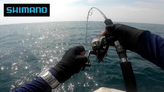 : SHIMANO STELLA SW6000HG & RIPPLE FISHER 614NS VS GREATER AMBERJACK