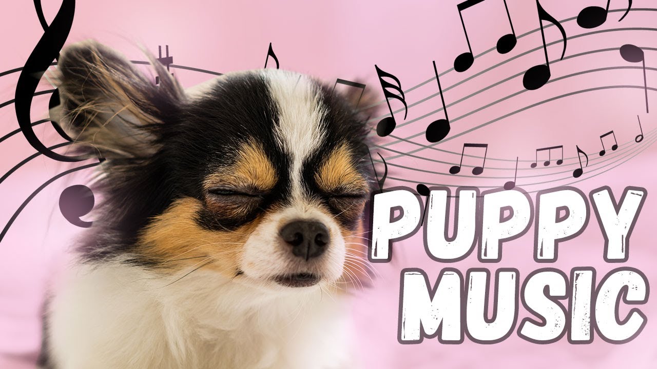 10 HOURS of Sleep Music for Puppies. Try it Today and be Surprised