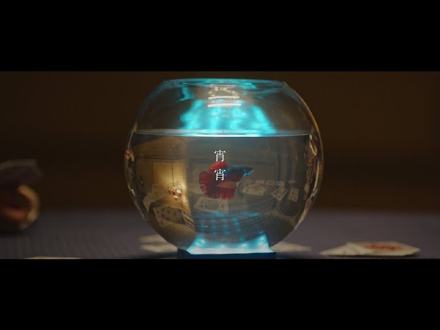 宵宵et-アンド-