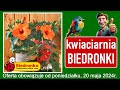   nowa oferta od poniedziaku 20052024  kwiaciarnia biedronki  tanie kwiaty