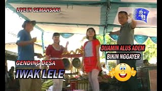 Download Lagu Gending Desa 10 Iwak Lele musik jaipong MP3 Download Lagu Gending Desa 10 Iwak Lele musik jaipong MP3