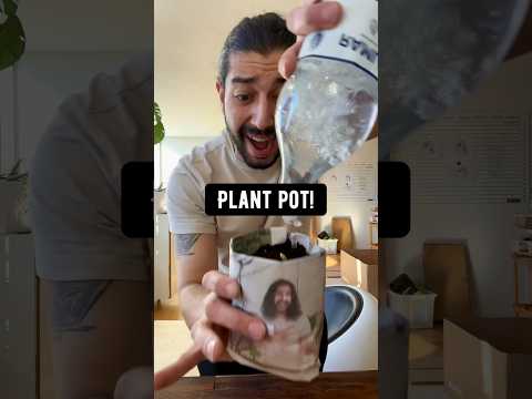 Video: Pet Plant Pot ønsker at gøre os forstå, hvordan planter føler