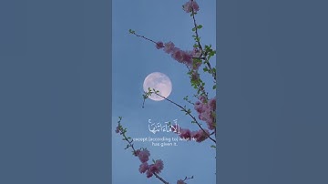 [ سورة الطلاق : ٧ ] القارئ : رعد كردي