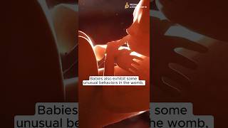 😍What BABY does in WOMB (Weird + Wonderful)