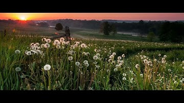تلاوة حزينة للشيخ ادريس ابكر من سورة غافر