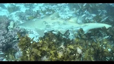 Jervis Bay Winter Magic Part 2