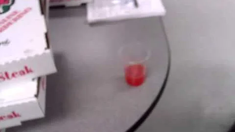 WP_000004.mp4