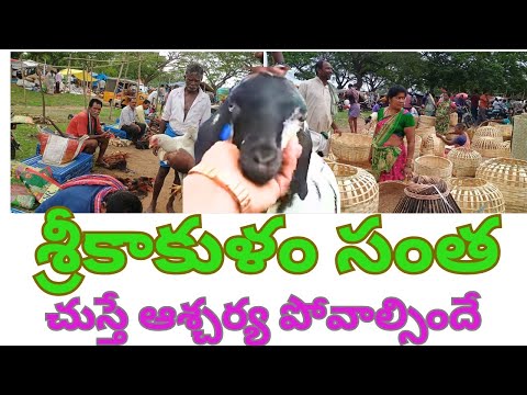tribal santha in telugu | Srikakulam District Village Market | #VILLAGEVENKAT