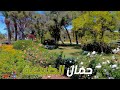 ورود تريح العين ما شاء الله على خلقه ورود تريح العين ما شاء الله على خلقه