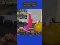 Single hip thrust elevated foot on ball