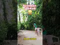 street cricket 😯🤣 #indiancricket #funny #streetcricket #softball
