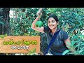       mango eating and cooking vlog  anshitha anji