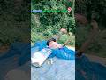 mistri kahan the #funny #comedy #indianlaughs #memes #harekfriendkaminahotahai #viral #trending