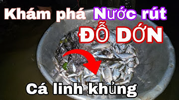 Khám phá nước rút mạnh " ĐỖ DỚN  Cá linh khủng" ráp với Campuchia !