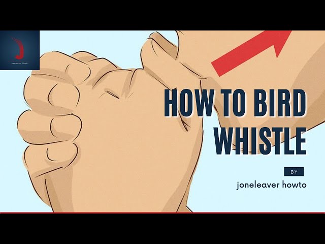 how to bird whistle with your hands class=