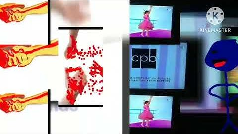 12 Shuric Scans With Are Reversed Slides