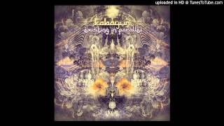 Kabayun - Existing in Parallel