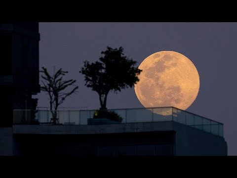 Видео: На четвърт луната?