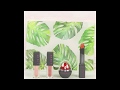 The Perfect Lip Care Color Kit 