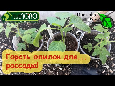 ОПИЛКИ ДЛЯ РАССАДЫ: в чем польза и как правильно использовать для крепкой и сильной рассады.
