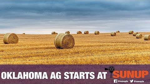 Testing Hay Quality (8/14/21)