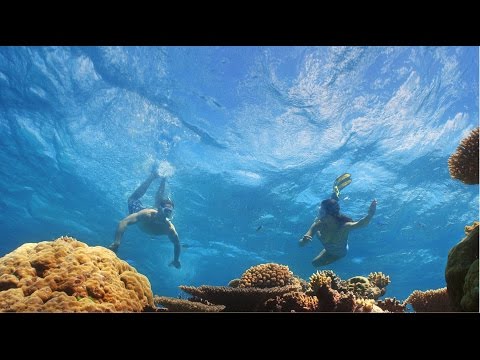 There's Nothing Like Australia's Aquatic and Coastal Experiences