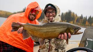 Battling Rain For Tiger Trout!