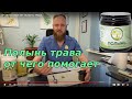 ОТ ЧЕГО ПОМОГАЕТ ПОЛЫНЬ ТРАВА 