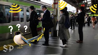 Why Japanese subways play bird noises